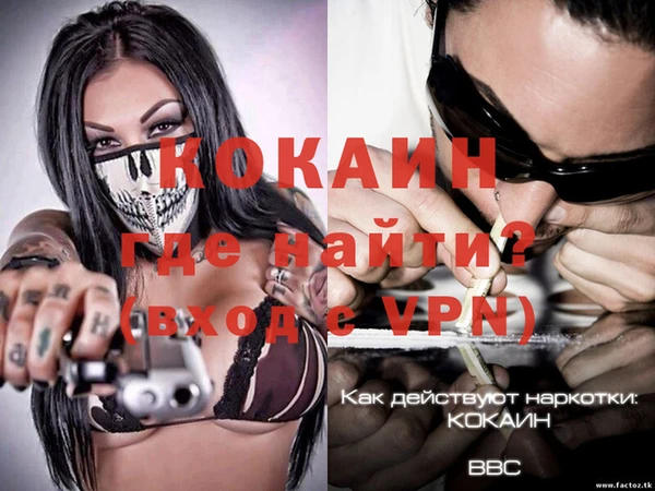 гидра Аркадак
