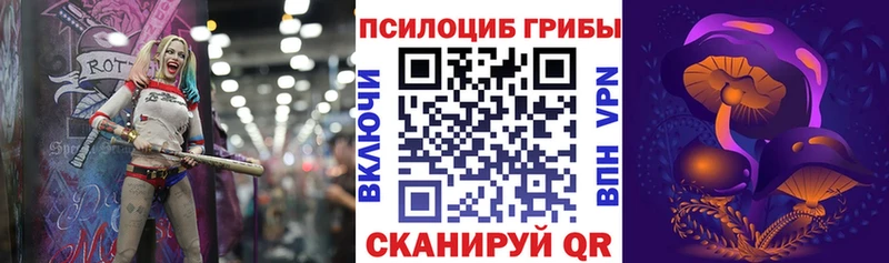 наркошоп  Лахденпохья  Галлюциногенные грибы Cubensis 
